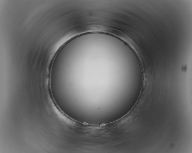 X0000111661143200907171603