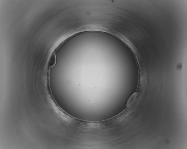 X0000111661144200907171603