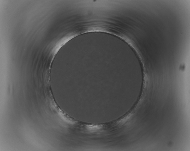 X0000111661145200907171603