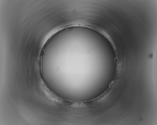 X0000111661146200907171603