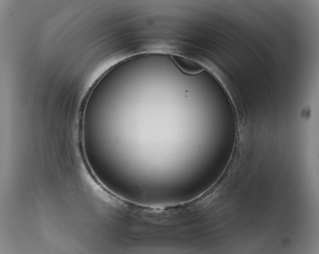 X0000111661147200907171603