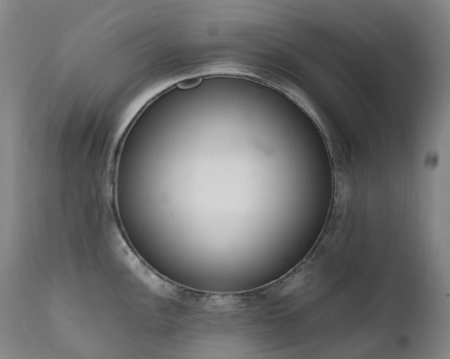 X0000111661148200907171603