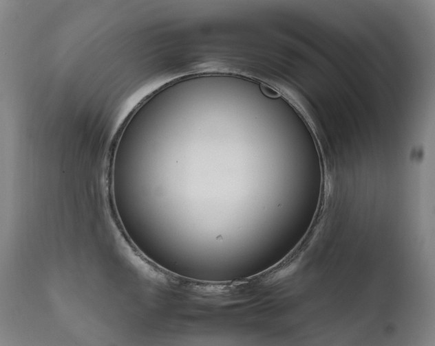 X0000111661149200907171603