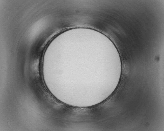 X0000111661150200907171603