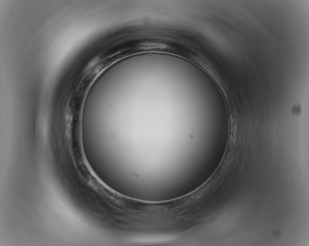 X0000111661151200907171603