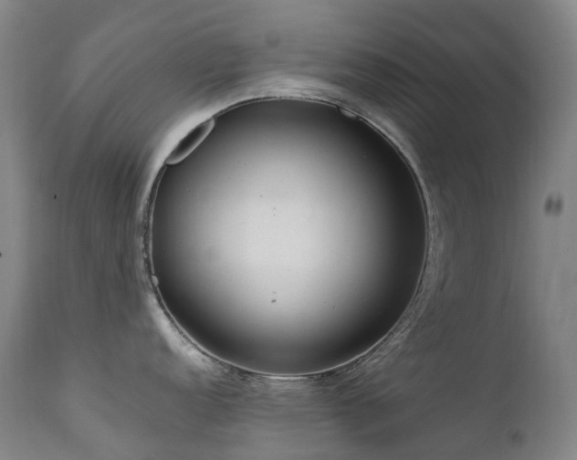 X0000111661152200907171604