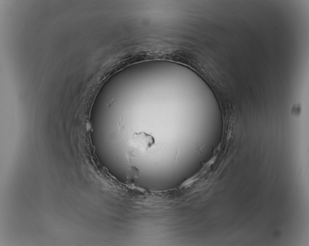X0000111661153200907171603