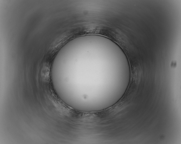 X0000111661154200907171603