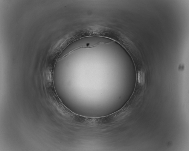 X0000111661155200907171603