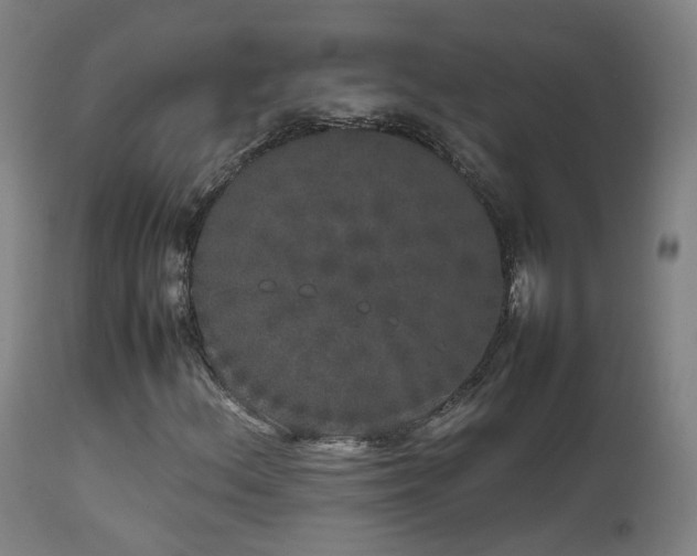 X0000111661156200907171603