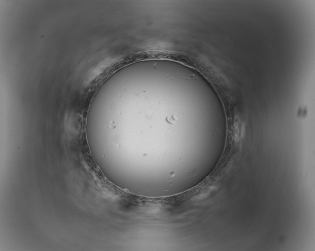 X0000111661157200907171603