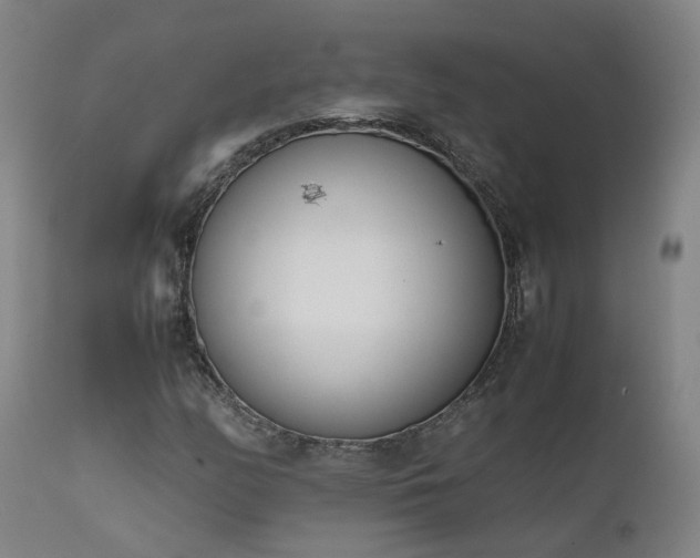 X0000111661158200907171602
