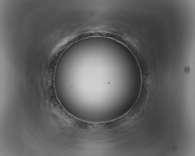 X0000111661159200907171602