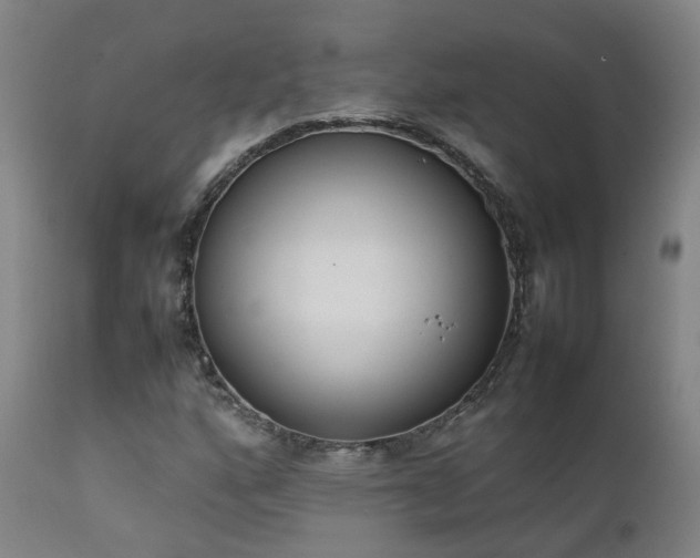 X0000111661160200907171602