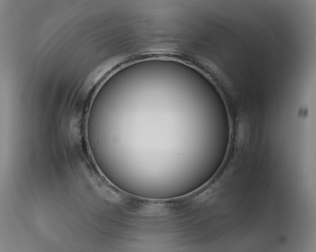 X0000111661162200907171602