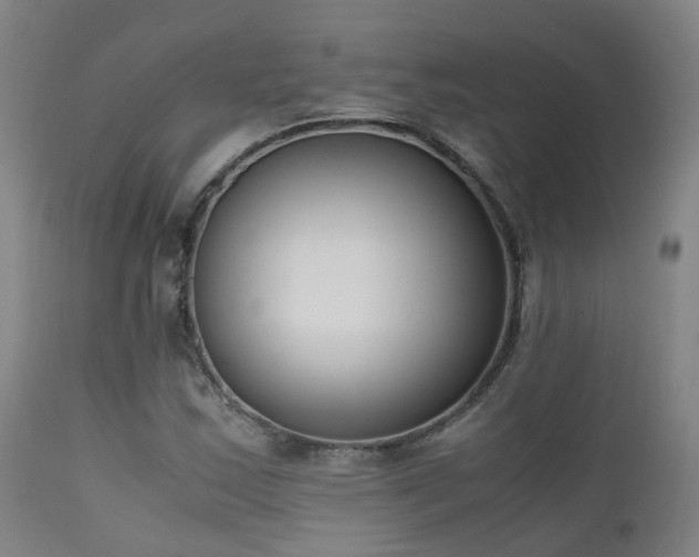 X0000111661163200907171602