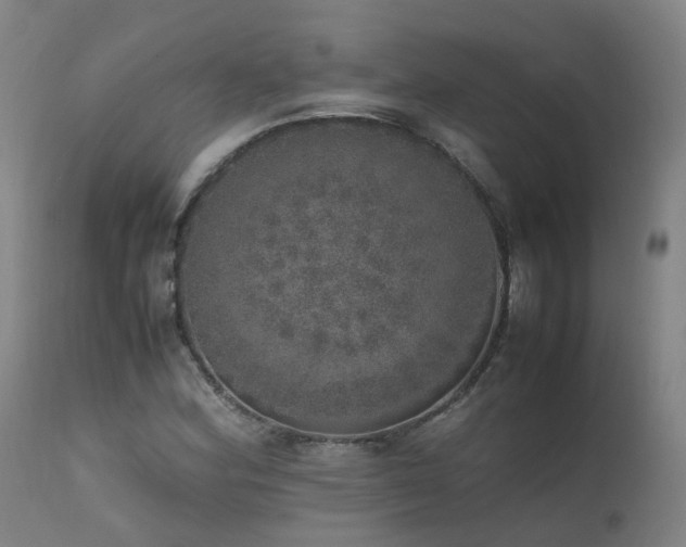 X0000111661164200907171602