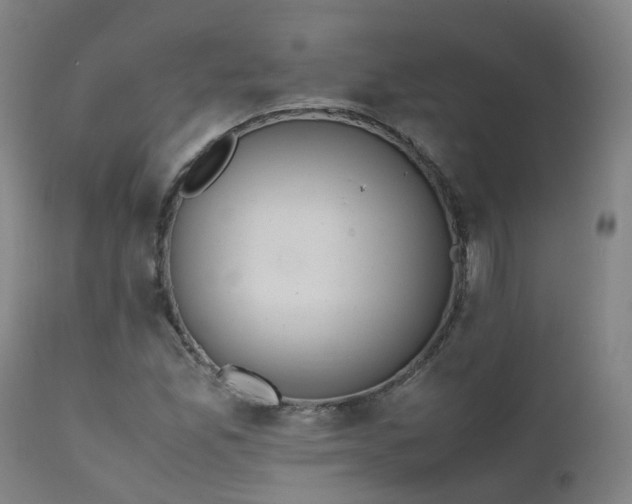X0000111661165200907171602
