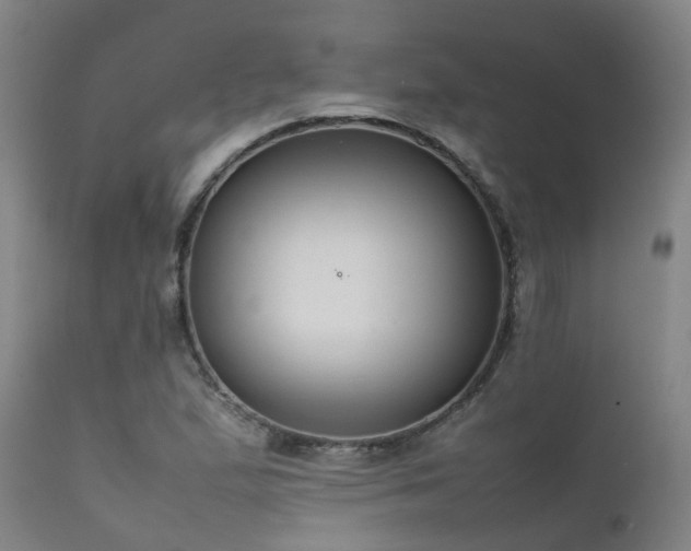 X0000111661167200907171602