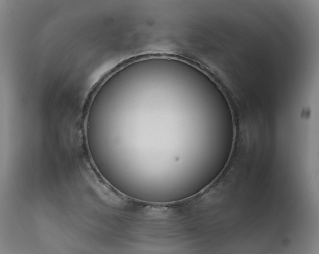 X0000111661168200907171602