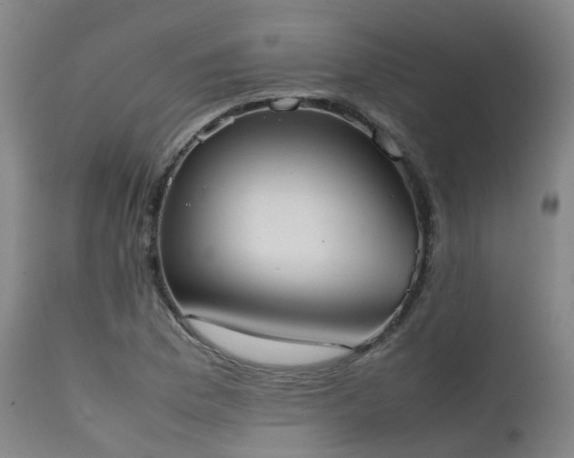X0000111661169200907171602