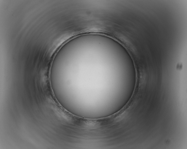 X0000111661170200907171602