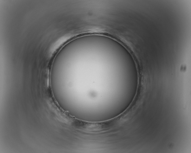 X0000111661171200907171602