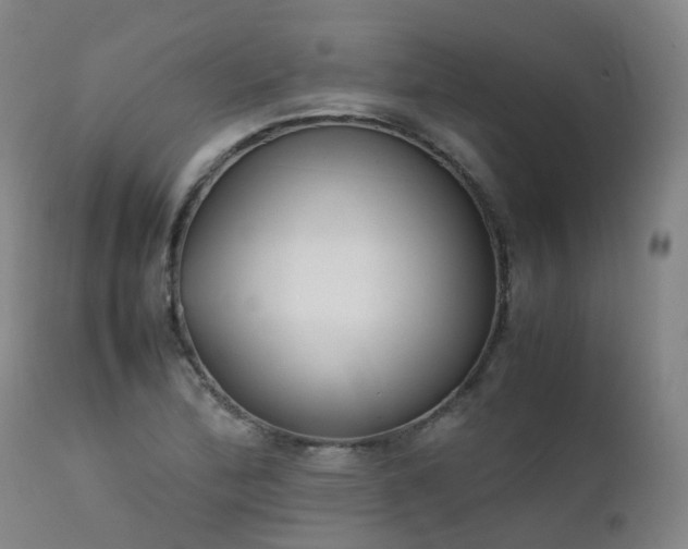 X0000111661172200907171602