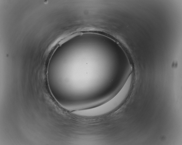 X0000111661173200907171602