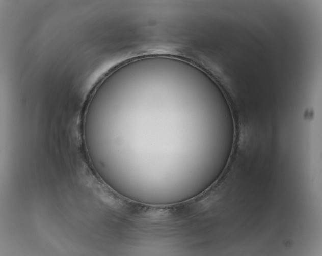 X0000111661174200907171602