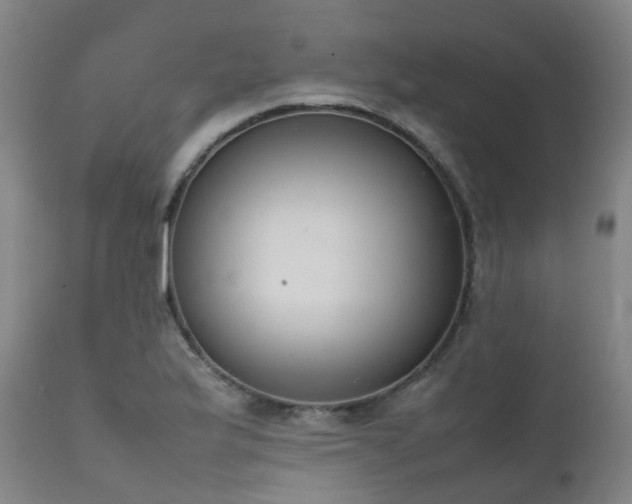 X0000111661175200907171602
