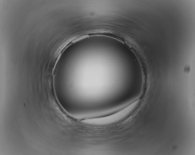 X0000111661177200907171602