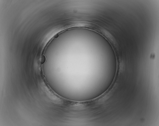 X0000111661178200907171602