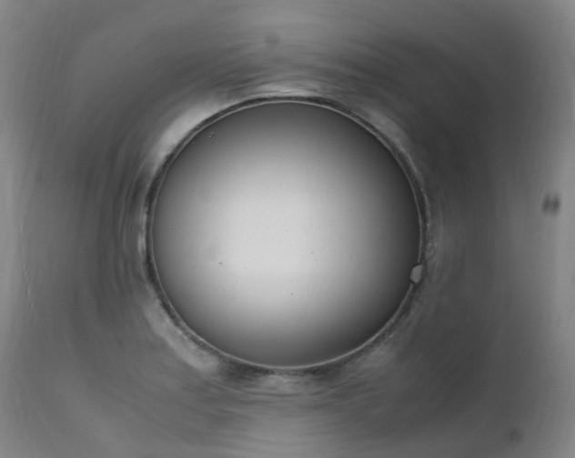 X0000111661179200907171602