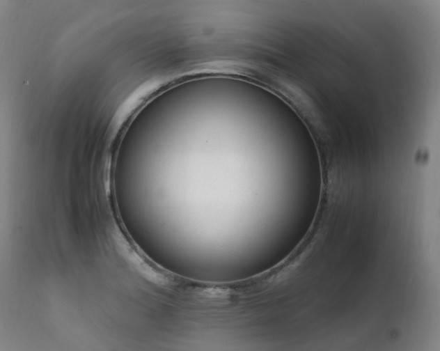 X0000111661180200907171602
