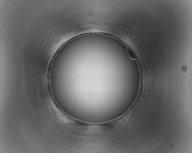 X0000111661181200907171602