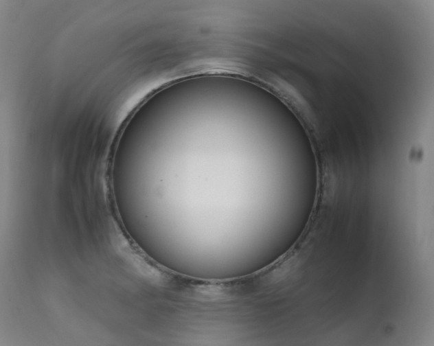 X0000111661182200907171602