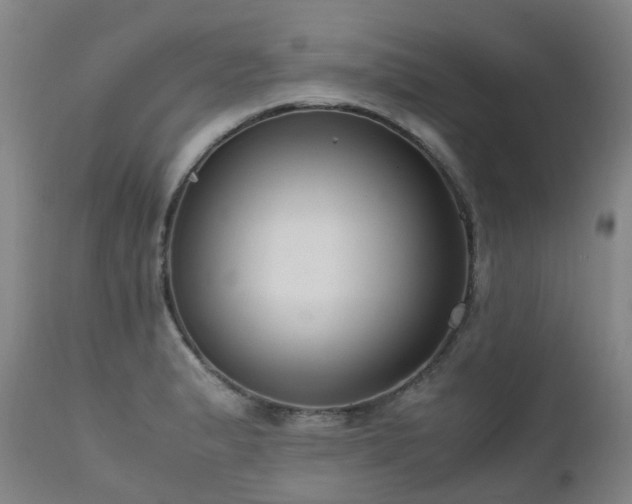 X0000111661183200907171602