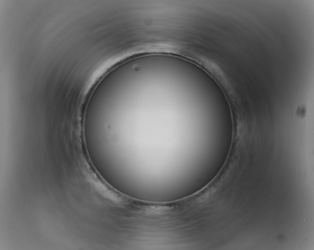 X0000111661184200907171602