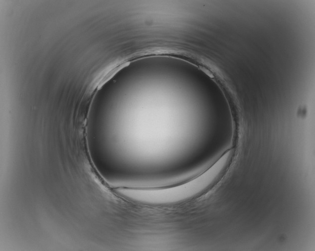 X0000111661185200907171602