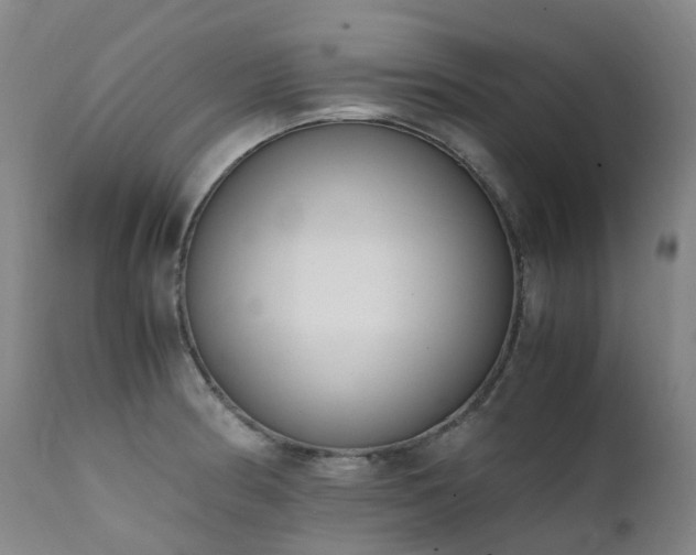 X0000111661186200907171602