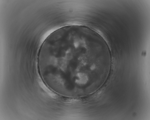 X0000111661187200907171602