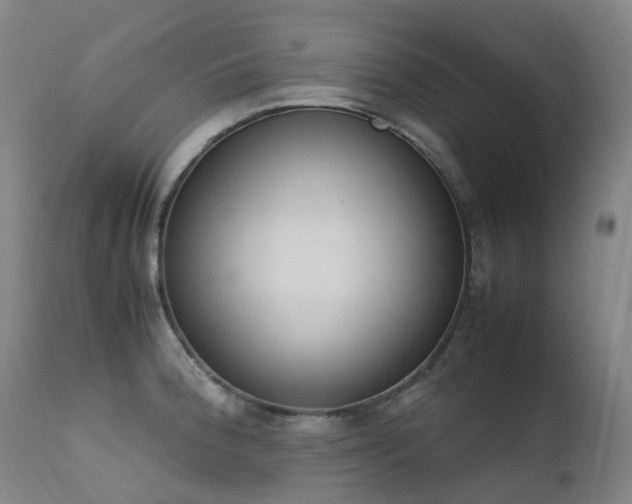 X0000111661188200907171602