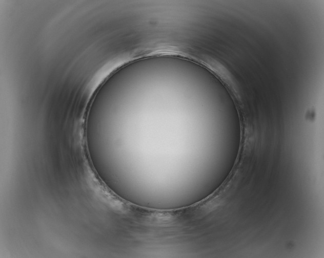 X0000111661190200907171602