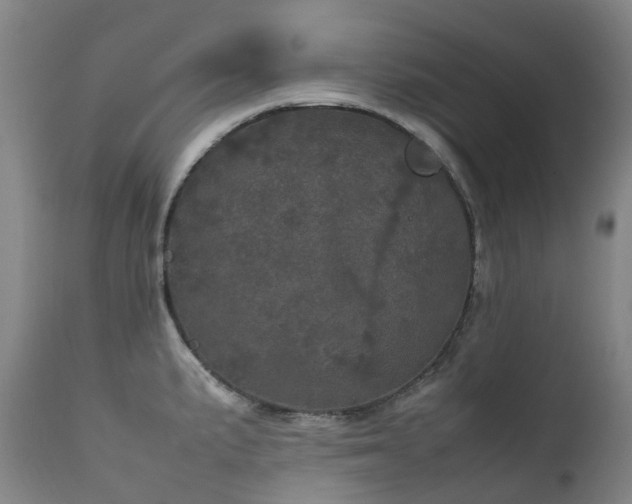 X0000111661191200907171602