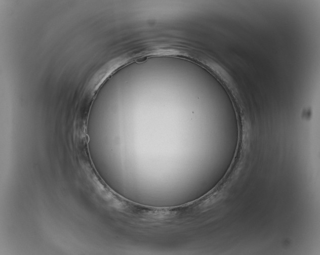 X0000111661193200907171602