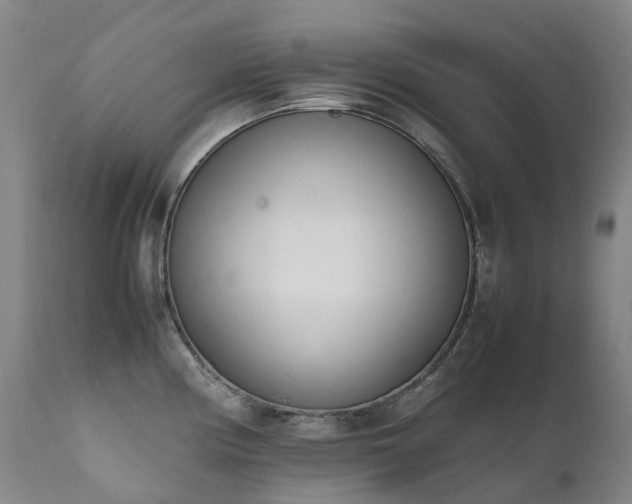X0000111661194200907171602