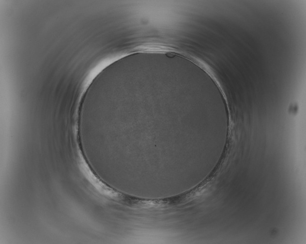 X0000111661195200907171602