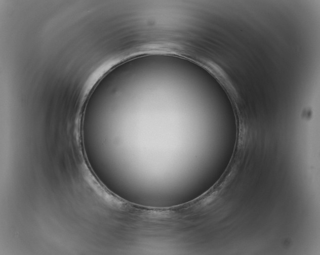 X0000111661196200907171602