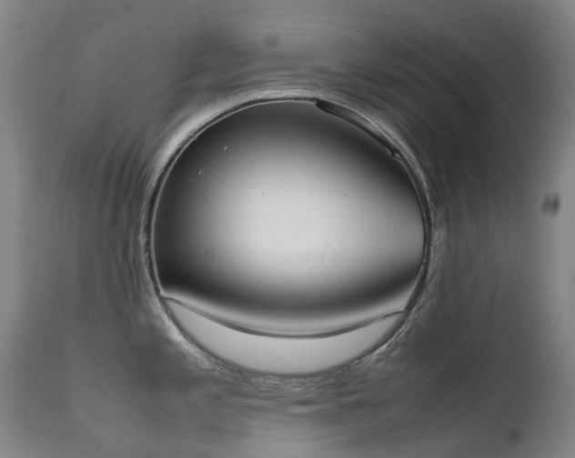 X0000111661197200907171602